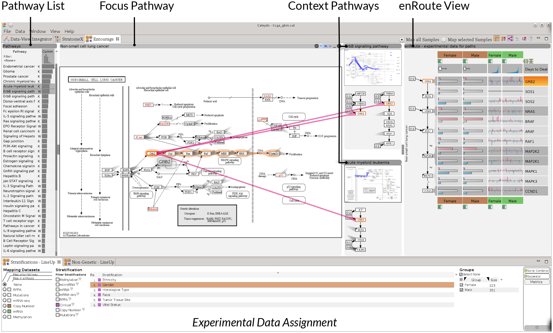 Pathway Visualizations Overview