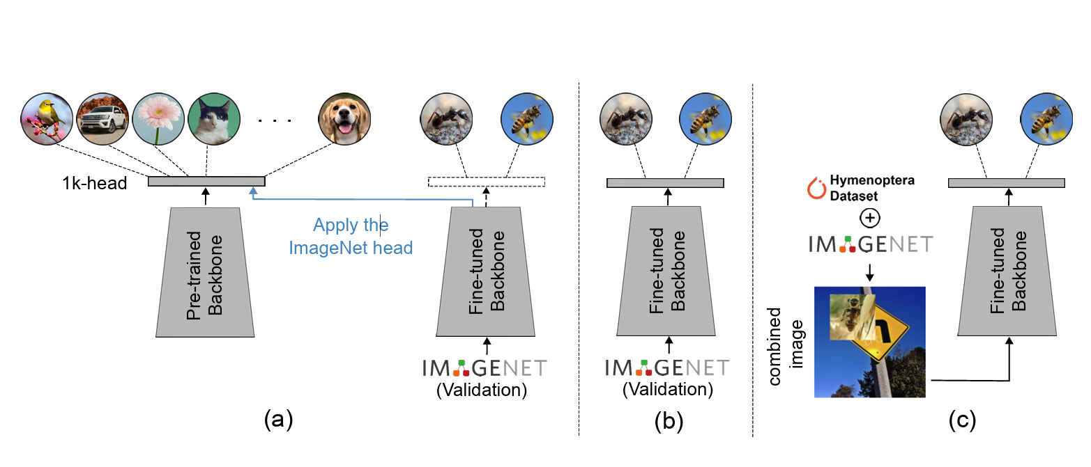 What Happens in TL Teaser