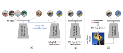 What Happens in TL screenshot