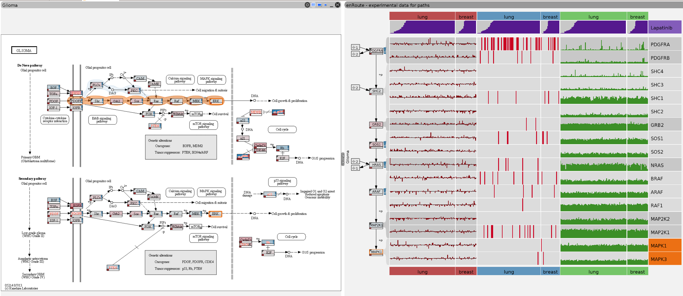 Pathway Visualizations Overview