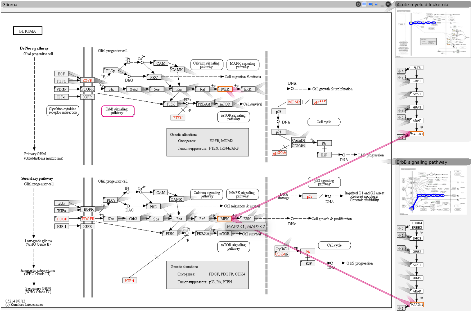 Pathway Visualizations Overview